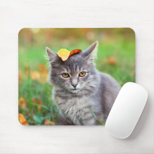 Niedlich Grau Kitty mit Leaf auf Kopf Mousepad (Mit Mouse)