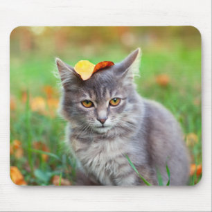 Niedlich Grau Kitty mit Leaf auf Kopf Mousepad