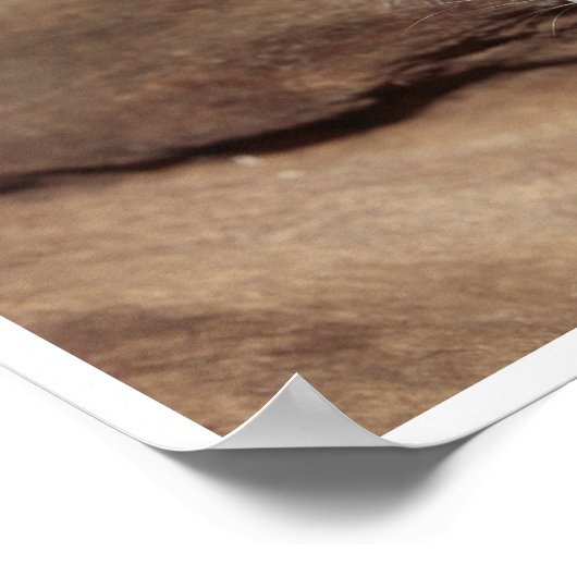 Niedlich, graue Maus Poster (Ecke)