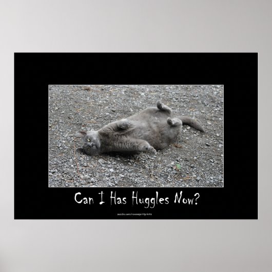 Niedlich Gray Cat Funny Huggles Poster (Vorne)