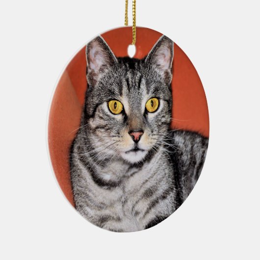 Niedlich Gray Cat Portrait Keramikornament (Rechts)