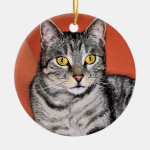 Niedlich Gray Cat Portrait Keramikornament