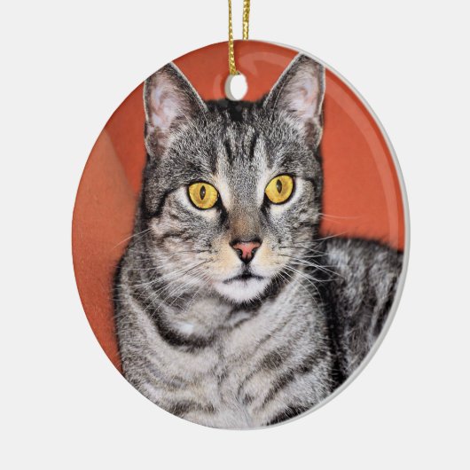 Niedlich Gray Cat Portrait Keramikornament (Links)