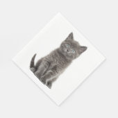 Niedlich Gray Kitten Gray Kitty Cat Party Napkins Serviette (Ecke)