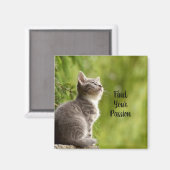 Niedlich Gray Kitten Magnet (Vorderseite/Rückseite)
