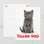 Niedlich Gray Kitten Vielen Dank Cat Postcard Postkarte (Vorne/Hinten)