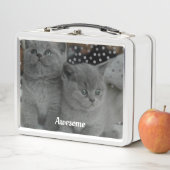 Niedlich Gray Kitty Cats Metall Brotdose (Beispiel)