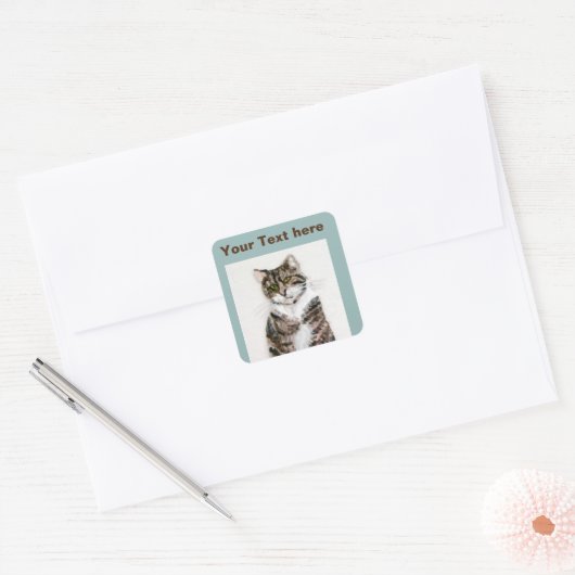 Niedlich Gray Kitty Tabby Cat Quadratischer Aufkleber (Umschlag)