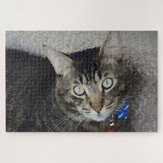 Niedlich Gray Tabby Cat Green Eyes Elegante Puzzle (Horizontal)