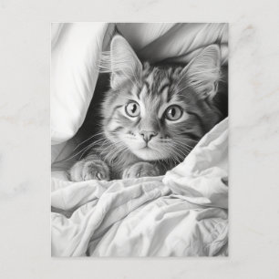 Niedlich Gray Tabby Cat Postkarte