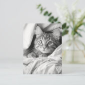 Niedlich Gray Tabby Cat Postkarte (Stehend Vorderseite)