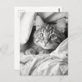 Niedlich Gray Tabby Cat Postkarte (Vorne/Hinten)