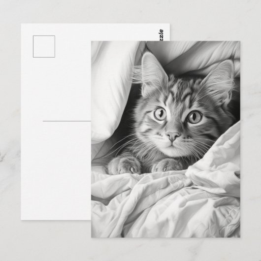 Niedlich Gray Tabby Cat Postkarte (Vorne/Hinten)