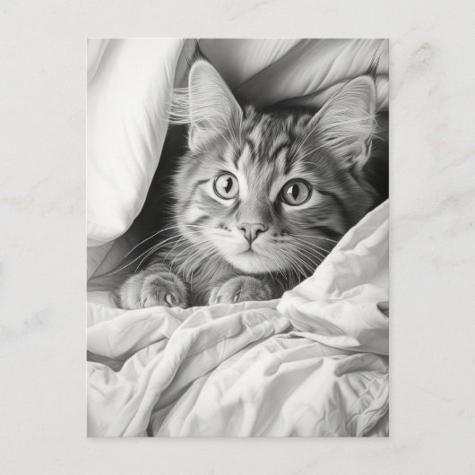 Niedlich Gray Tabby Cat Postkarte (Vorderseite)