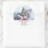 Niedlich Gray Tabby Cat w/Christmas Hat Xmas Küche Runder Aufkleber (Tasche)