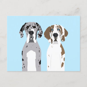 Niedlich Great Dane Hunde Blue Postkarte