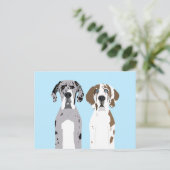 Niedlich Great Dane Hunde Blue Postkarte (Stehend Vorderseite)