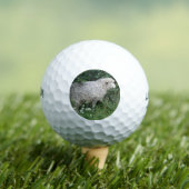 Niedlich Greedy Sheep Eating Golf Ball (Insitu T-Shirt)
