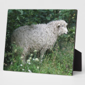 Niedlich Greedy Sheep Eating Plaque Fotoplatte (Seite)