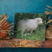 Niedlich Greedy Sheep Eating Plaque Fotoplatte (Seite)