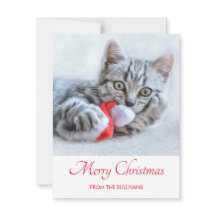 Niedlich Grey Tabby Cat Weihnachtsfeiertag Xmas