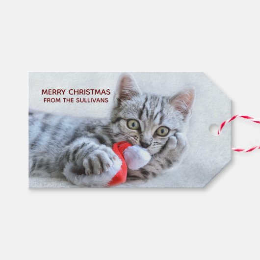Niedlich Grey Tabby Cat Weihnachtsfeiertag Xmas Geschenkanhänger (Vorderseite (Horizontal))