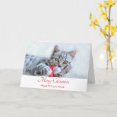 Niedlich Grey Tabby Cat Weihnachtsfeiertag Xmas Karte (Gelbe Blume)