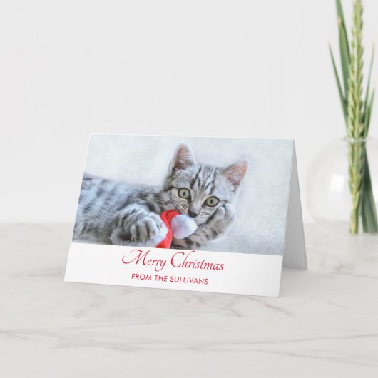 Niedlich Grey Tabby Cat Weihnachtsfeiertag Xmas Karte (Vorderseite)