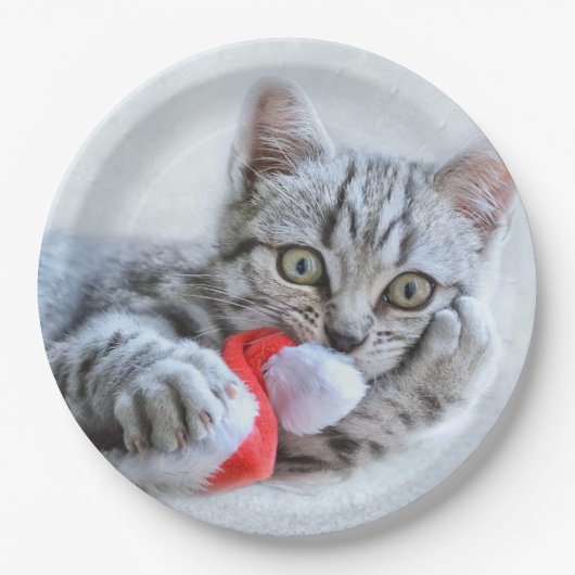 Niedlich Grey Tabby Cat Weihnachtsfeiertag Xmas Pappteller (Vorderseite)