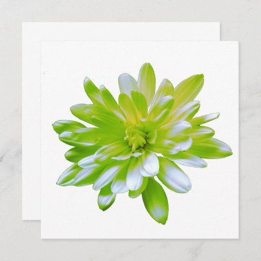 Niedlich grüne blühende Blume Grün daisy Einladung (Vorne/Hinten)