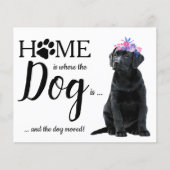 Niedlich haben wir die Ankündigung, Hunde zu beweg (Vorderseite)