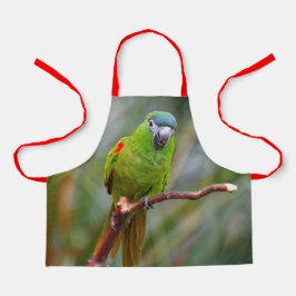 Niedlich Hahns Red Shoulded Mini Macaw Parrot Bird Schürze