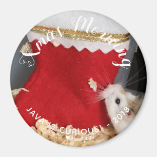 Niedlich Hamster Neugierig Weihnachten Morgen Magnet
