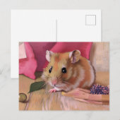 Niedlich Hamster Postkarte (Vorne/Hinten)