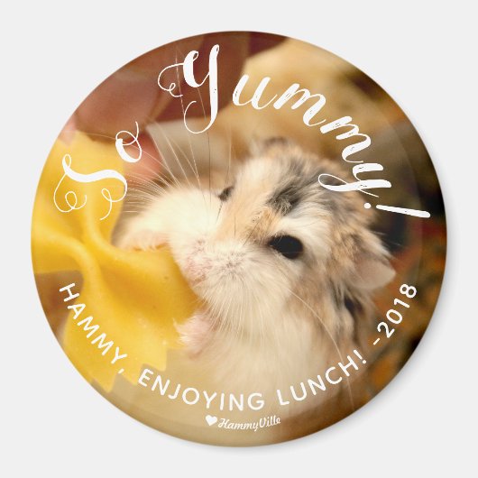 Niedlich Hamster So Yummy Magnet (Vorne)