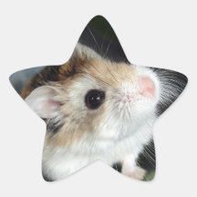 Niedlich Hamster Star Stickers