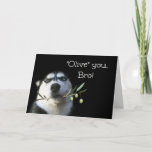 Niedlich Happy Birthday Brother Humour Card Karte<br><div class="desc">Das ist eine lustige Karte,  die dein Bruder Liebe bekommt!  "Ich Liebe dich,  Bro! Oder eigentlich sagt es "Olive" Sie bro! Mit dem niedlichen Huskhund,  der auf einem Olivenzweig hält.  Ein großartiges Spiel.  Eine lustige Karte zu geben und zu bekommen!  Schick deinem Bruder etwas Spaß zum Geburtstag!</div>