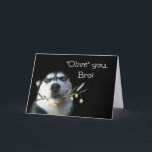 Niedlich Happy Birthday Brother Humour Card Karte<br><div class="desc">Das ist eine lustige Karte,  die dein Bruder Liebe bekommt! "Ich Liebe dich,  Bro! Oder eigentlich sagt es "Olive" Sie bro! Mit dem niedlichen Huskhund,  der auf einem Olivenzweig hält. Ein großartiges Spiel. Eine lustige Karte zu geben und zu bekommen! Schick deinem Bruder etwas Spaß zum Geburtstag!</div>
