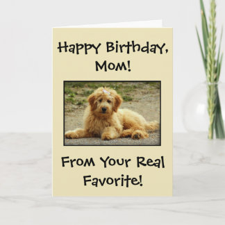 Niedlich Happy Birthday Card aus dem Hund-Foto Dankeskarte