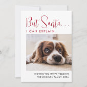 Niedlich Happy Holidays Pet Foto Feiertagskarte (Vorderseite)