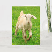 Niedlich Happy Little Goat Geburtstag Karte (Vorderseite)