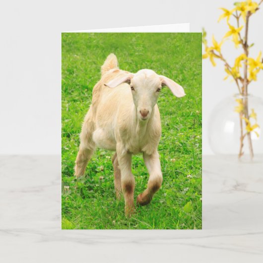 Niedlich Happy Little Goat Geburtstag Karte (Gelbe Blume)