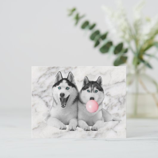 Niedlich Happy Siberian Husky Hunde blasen Blubble Postkarte (Stehend Vorderseite)