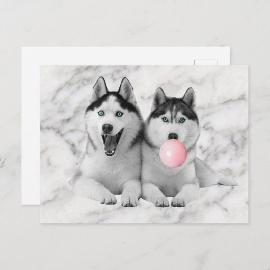 Niedlich Happy Siberian Husky Hunde blasen Blubble Postkarte (Vorne/Hinten)