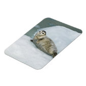 Niedlich Harbour Siegel on Snow Magnet (Linke Seite)
