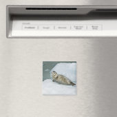 Niedlich Harbour Siegel on Snow Magnet (In Situ (Geschirrspüler))