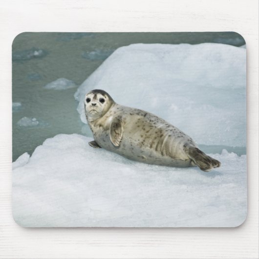 Niedlich Harbour Siegel on Snow Mousepad (Vorne)