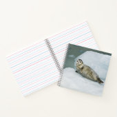 Niedlich Harbour Siegel on Snow Notizblock (Innenseite)