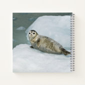 Niedlich Harbour Siegel on Snow Notizblock (Rückseite)