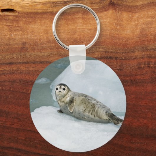 Niedlich Harbour Siegel on Snow Schlüsselanhänger (Vorderseite)